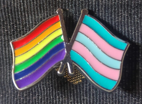 LGBTQIA+ Pride Pins