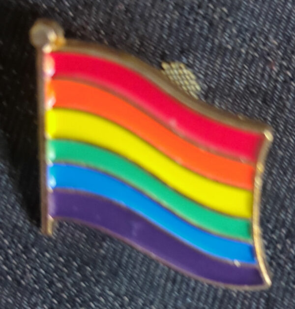 LGBTQIA+ Pride Pins - Image 4